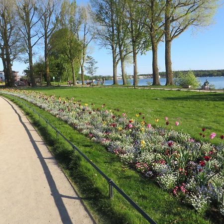 Ferienwohnungen "Marie" Mit Terrassen, Inclusive Park- Und Stellplaetze Am Haus, Mueritz-Strand Nur 700M, Altstadt 10Min, Ruhige Lage, Βάρεν Εξωτερικό φωτογραφία