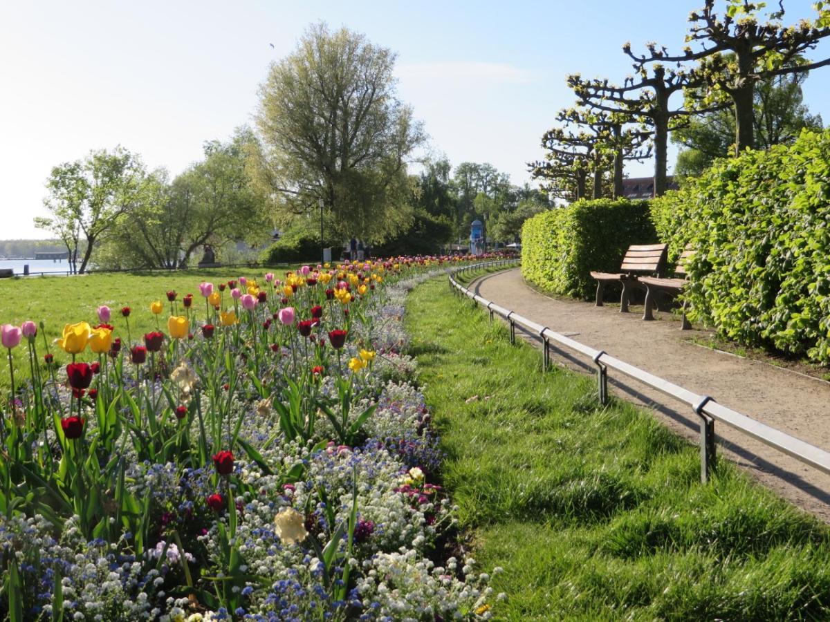 Ferienwohnungen "Marie" Mit Terrassen, Inclusive Park- Und Stellplaetze Am Haus, Mueritz-Strand Nur 700M, Altstadt 10Min, Ruhige Lage, Βάρεν Εξωτερικό φωτογραφία